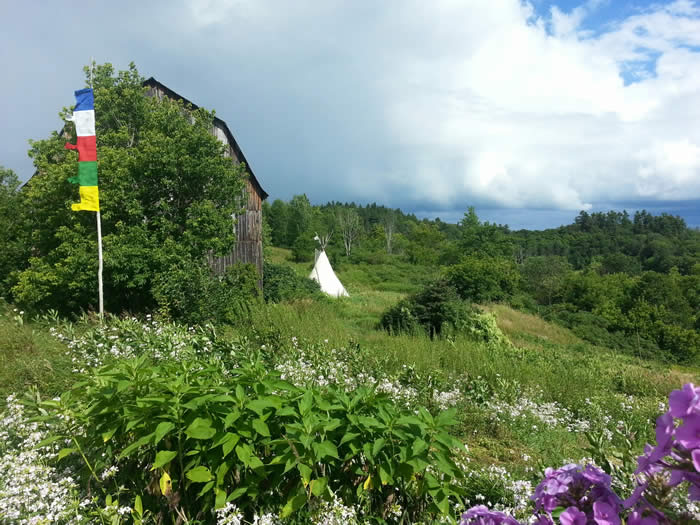 Flags at EcoEcho