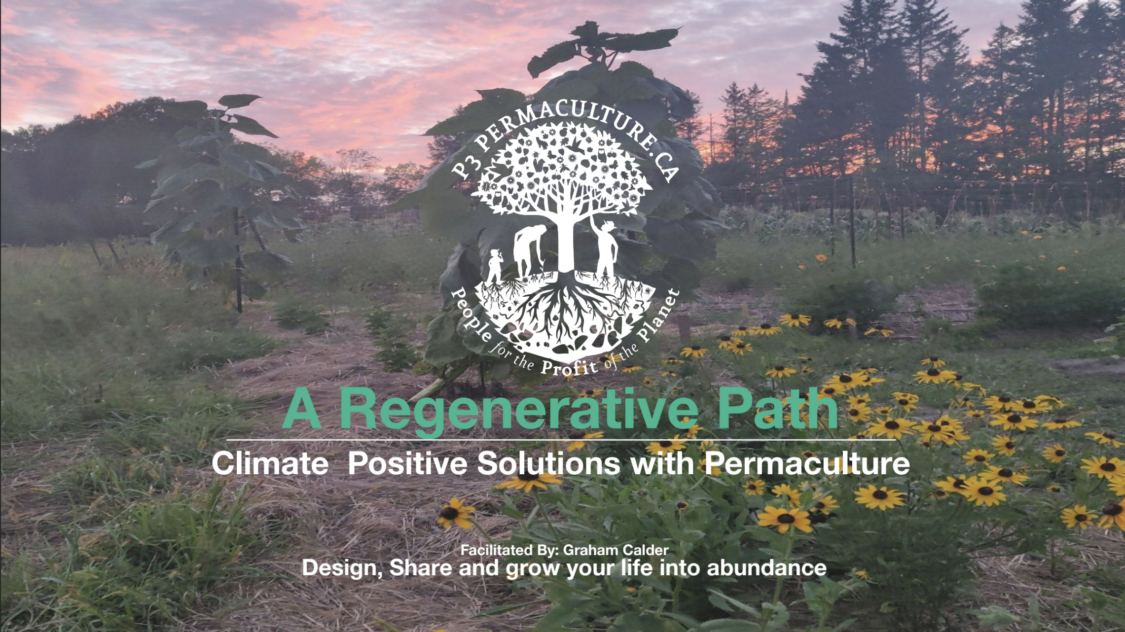 P3 Permaculture.ca - A Regenerative Path - Climate Positive Solutions with Permaculture - Facilitiated by: Graham Calder - Design, Share and grow your life into abundance