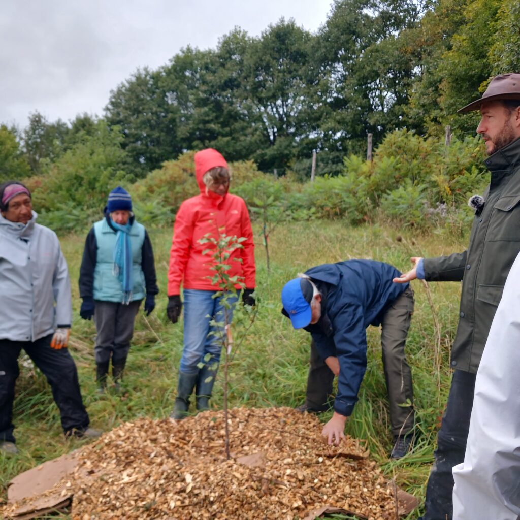 Fall workshop at EcoEcho