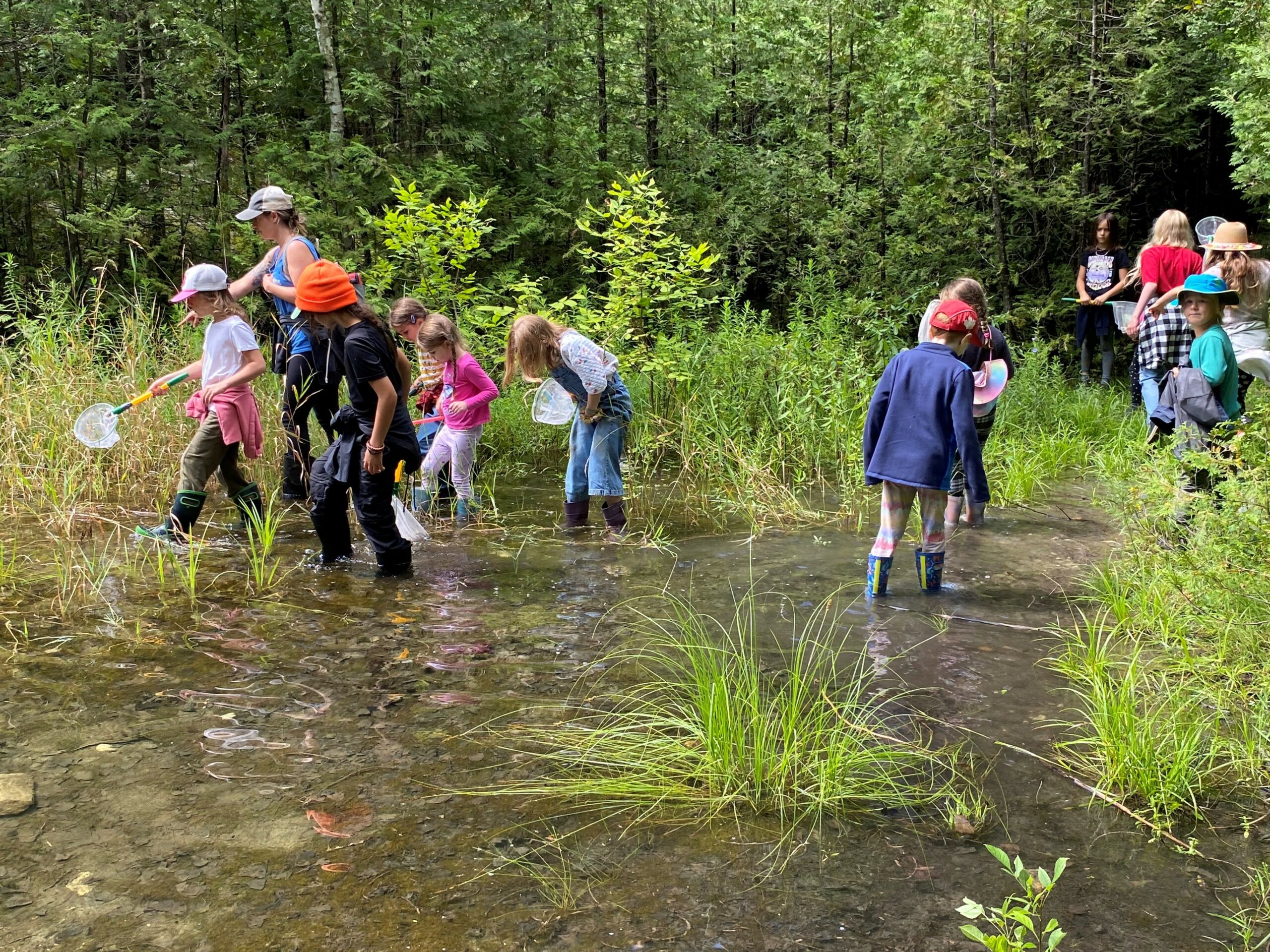 Kids in Pond