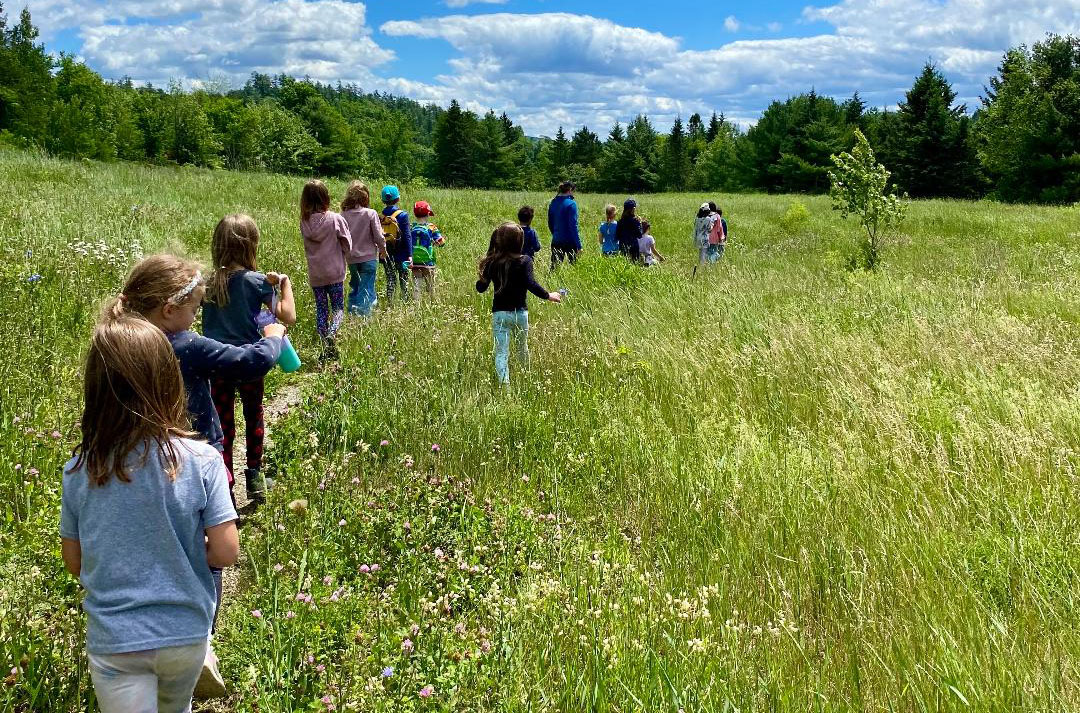 Kids walking through the field-Summer 2024